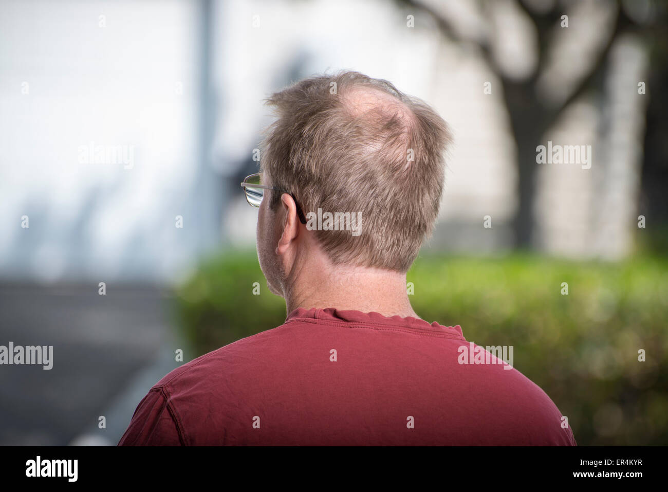 Back Of Balding Guy's Head Stock Photo