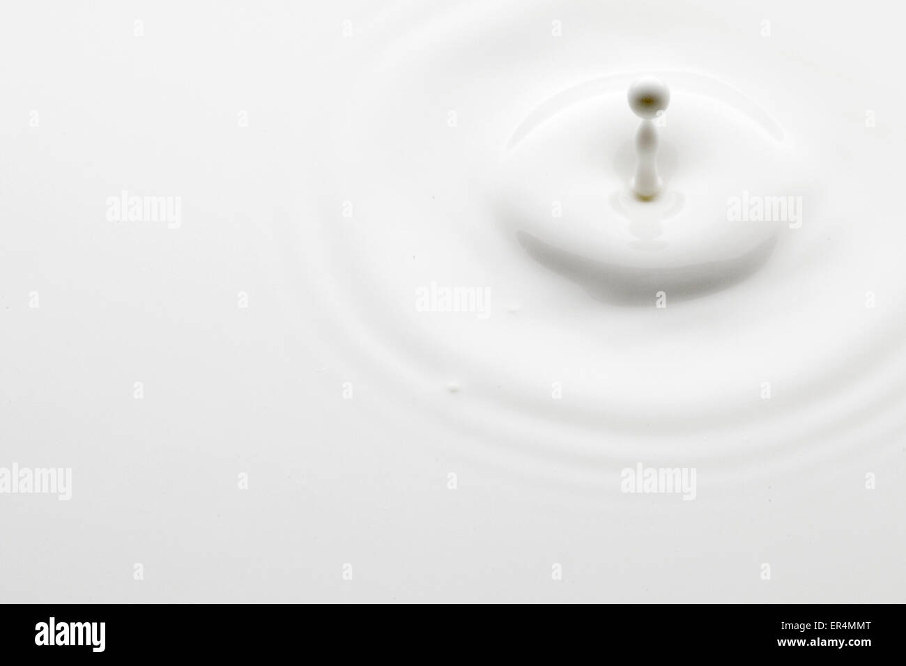 Milk milk milk perfect hi-res stock photography and images - Alamy