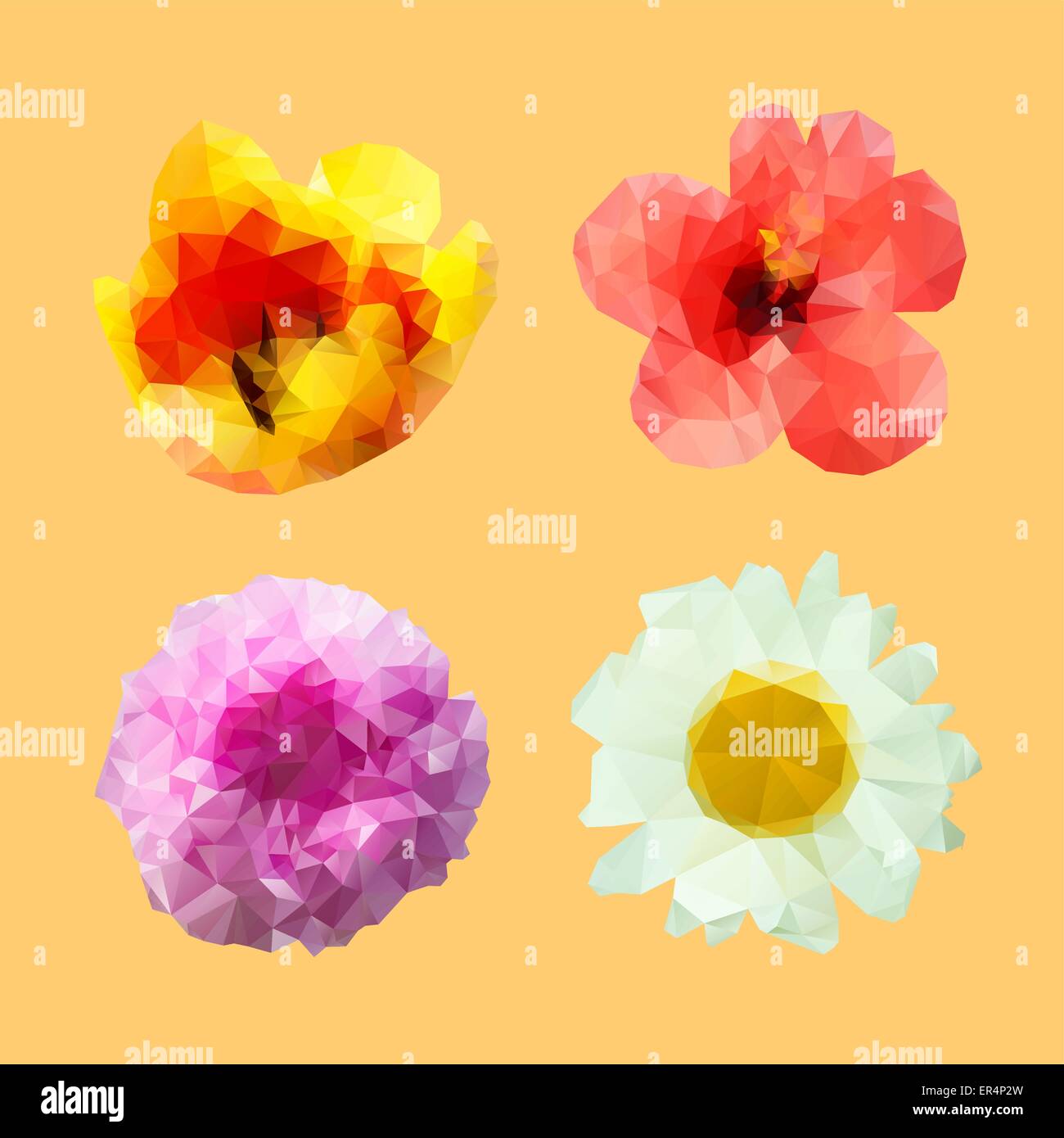 Daisy low Stock Vector Images - Alamy