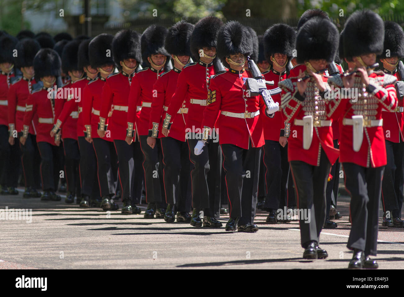 Westminster, London, UK. 27th May, 2015. Grenadier Guards march down sun dappled Birdcage Walk after the State Opening of Parliament towards Wellington Barracks. Credit: Malcolm Park editorial/Alamy Live News Stock Photo