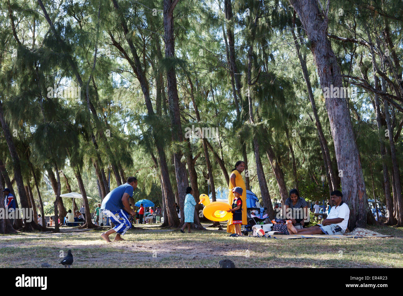 Local families pickniking in park at Blue Lagoon Bay, Island Mauritius Stock Photo