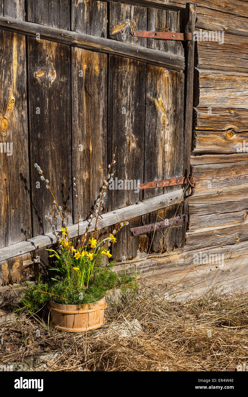 Easter still life in front of old wooden door Stock Photo