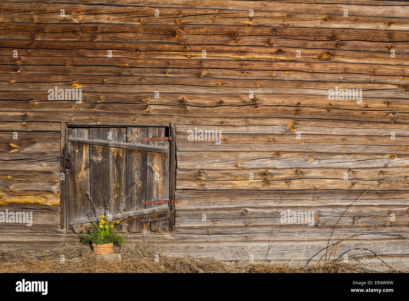 Easter still life in front of old wooden barn Stock Photo