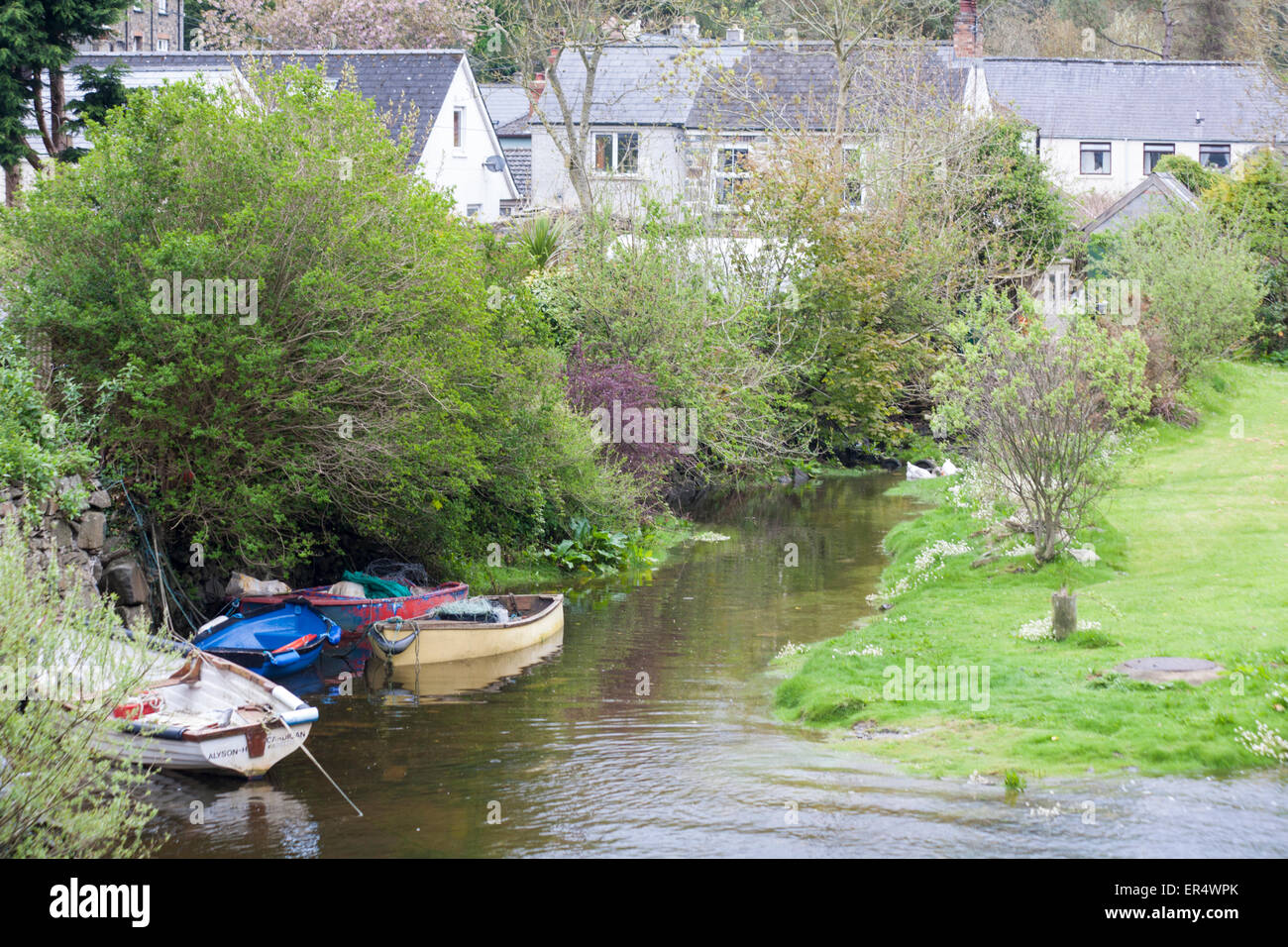 Boats and cottages at Lower Fishguard or Abergwaun at Pembrokeshire Coast National Park, Wales UK in May Stock Photo