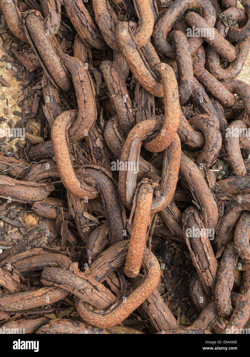 Old, rusty chains, Isle of Wight, Hampshire, England Stock Photo Alamy