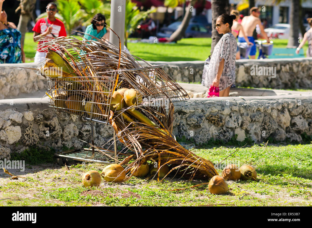 Miami beach, Florida cart with coconuts Stock Photo Alamy
