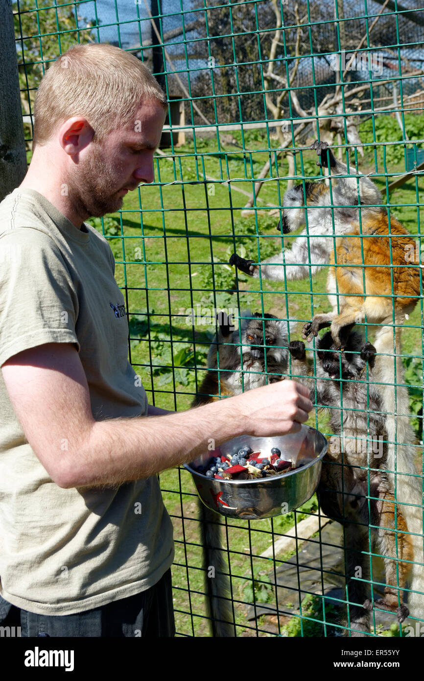 zoo keeper feeding animals