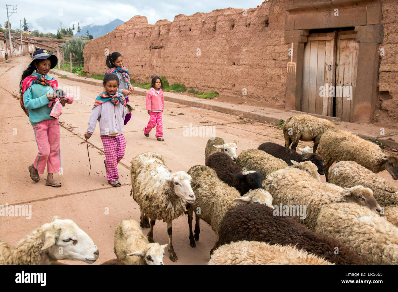 sheepherders in Pisac, Peru Stock Photo