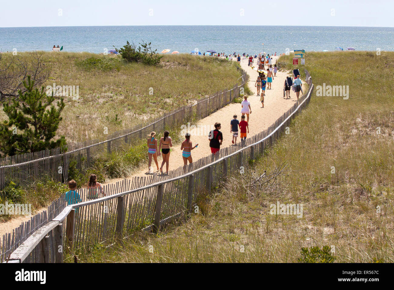 surfside beach on Nantucket Stock Photo Alamy