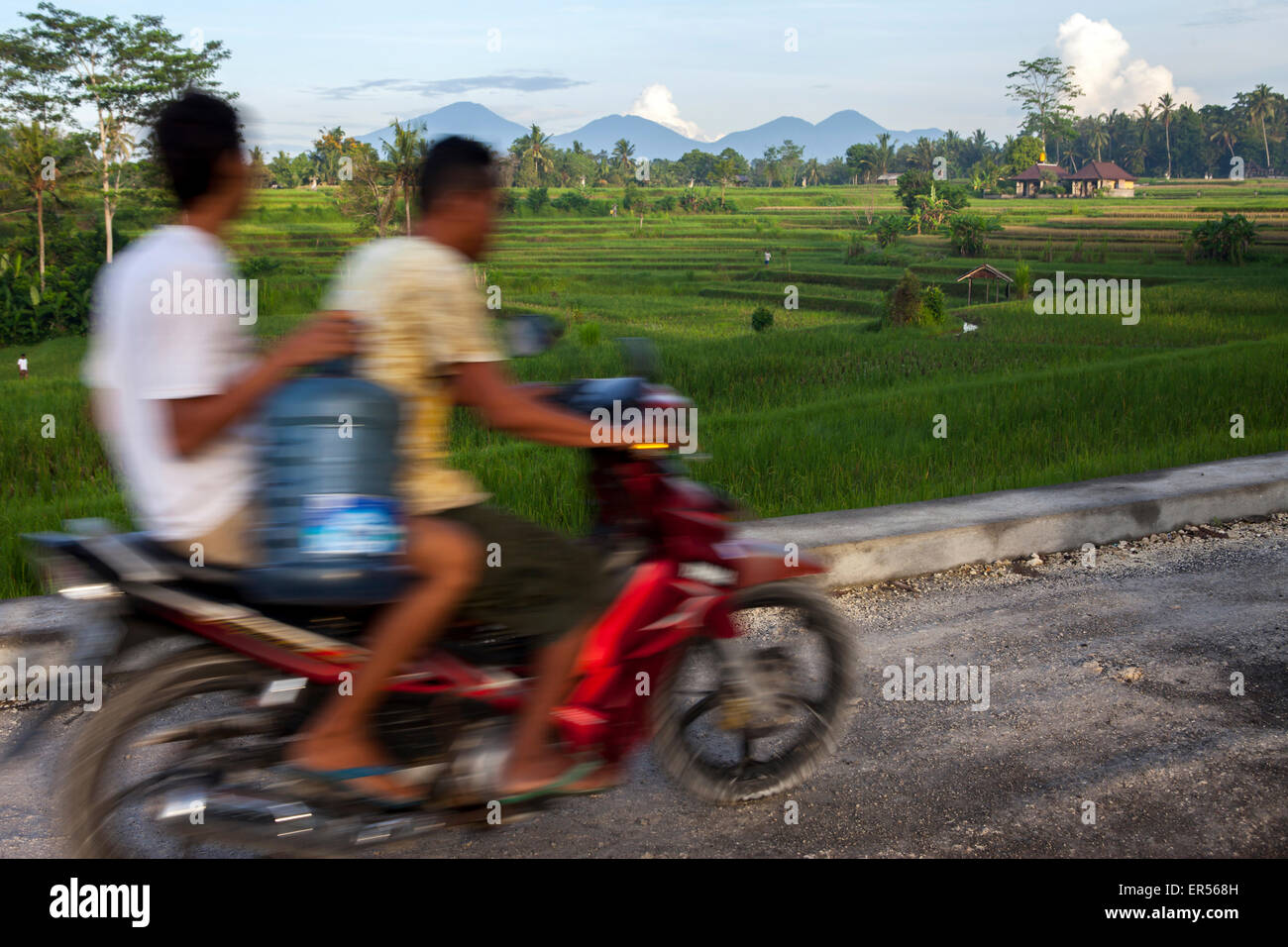 Rice paddy field motorbike on hi-res stock photography and images - Alamy