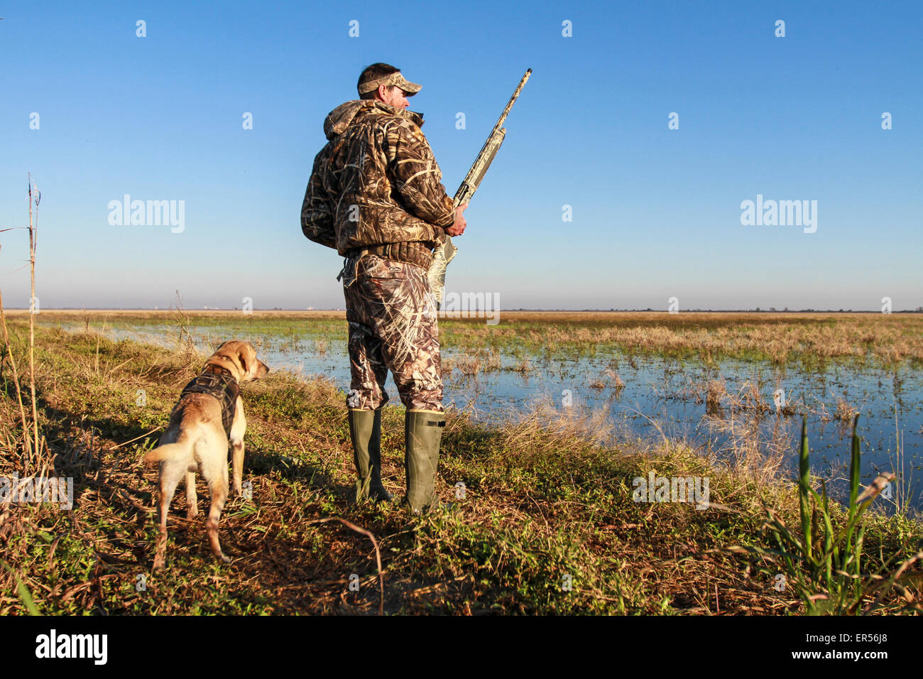 A duck hunter stands with his hunting dog. Stock Photo