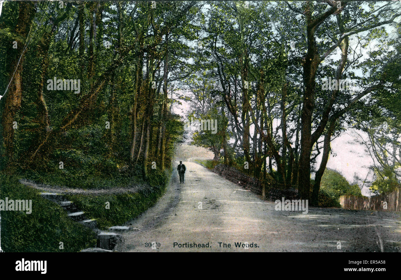 The Woods, Portishead, Somerset Stock Photo Alamy