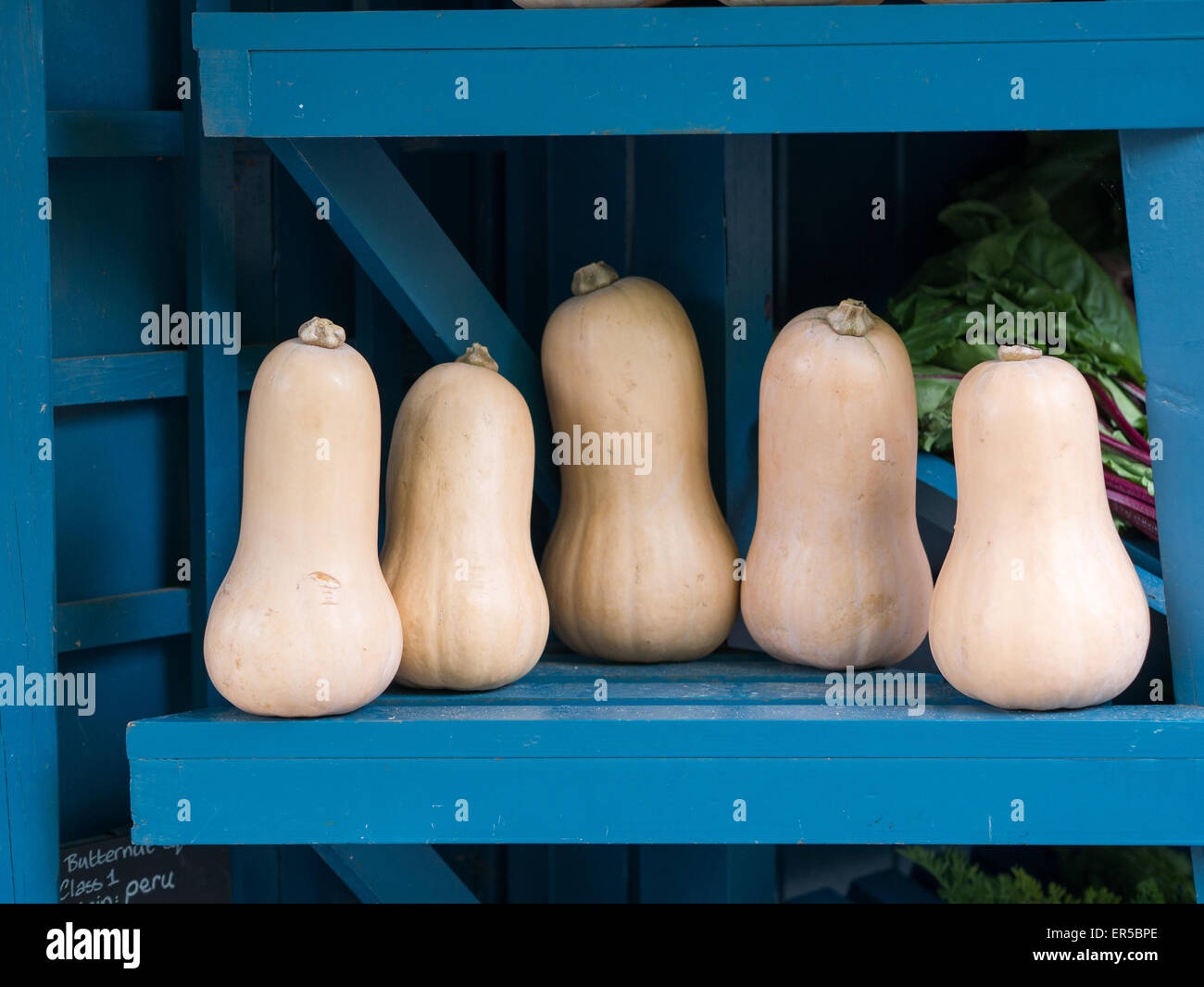 Butternut squashes Stock Photo