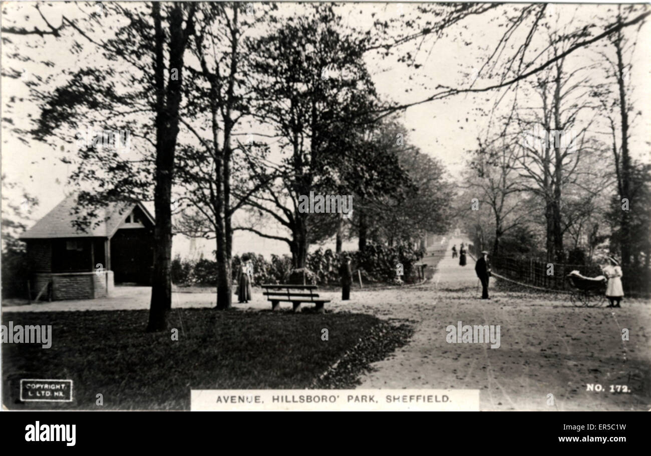Hillsborough Park, Sheffield, Yorkshire Stock Photo Alamy