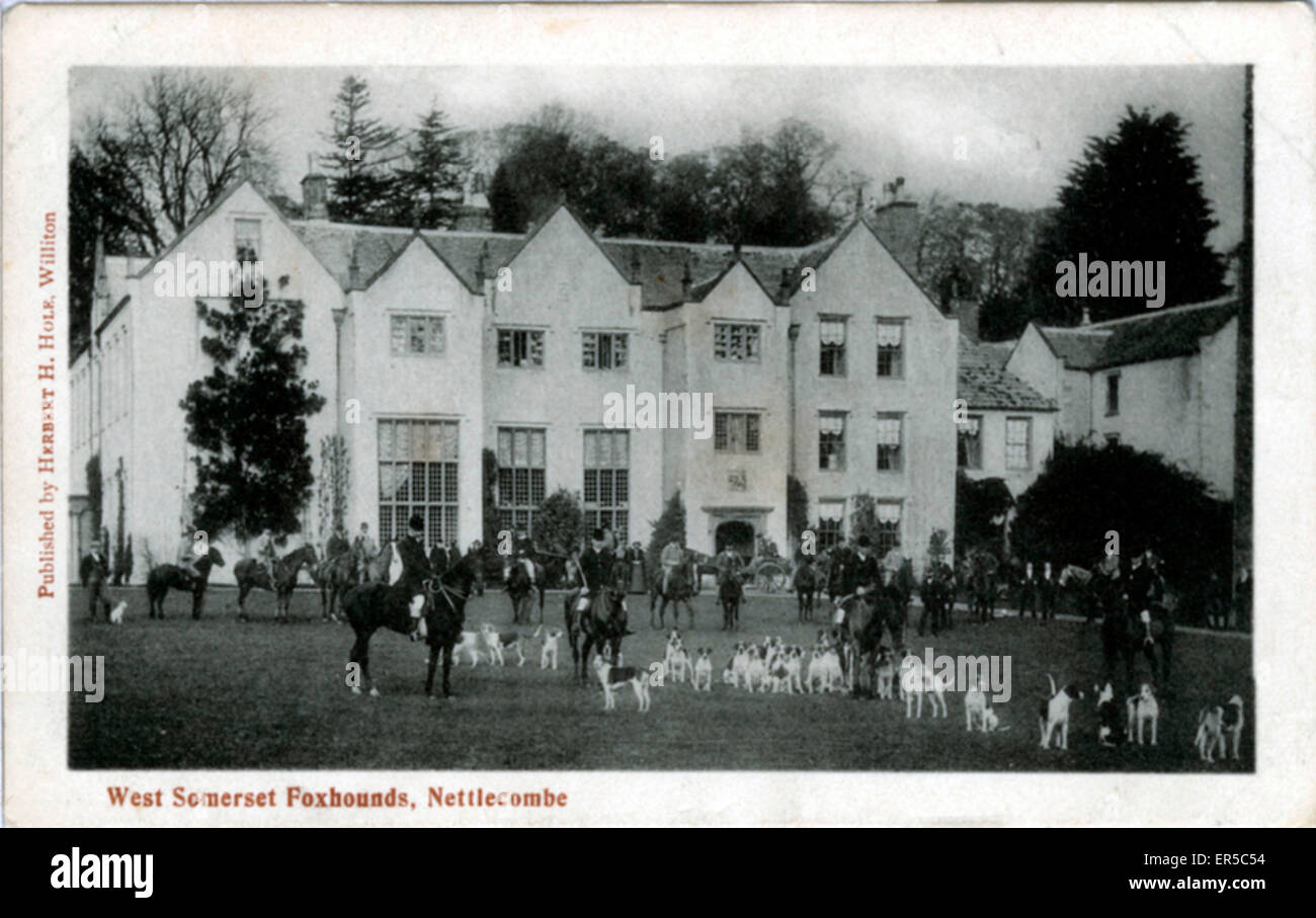 Nettlecombe Court, Williton, Taunton, Somerset, England. Showing the West Somerset Foxhounds  1910s Stock Photo