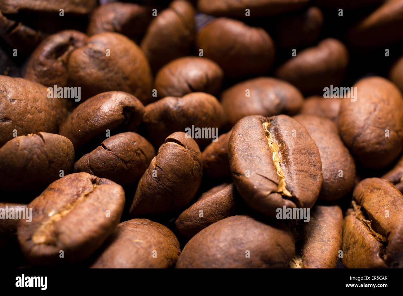 Close up of some coffee beans. Stock Photo
