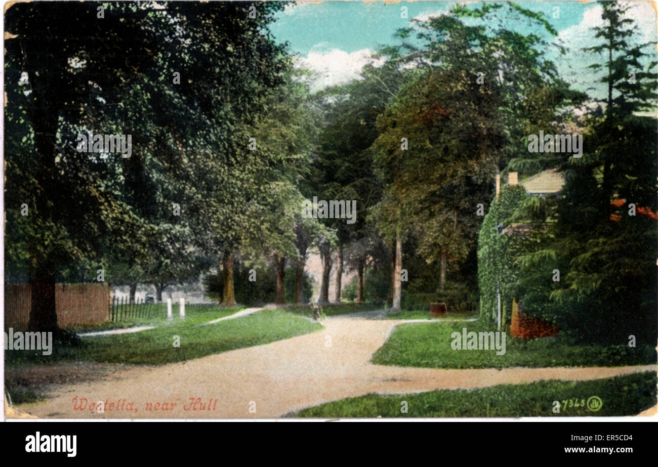 The Village, West Ella, near Kirk Ella, Yorkshire, England. 1900s Stock ...