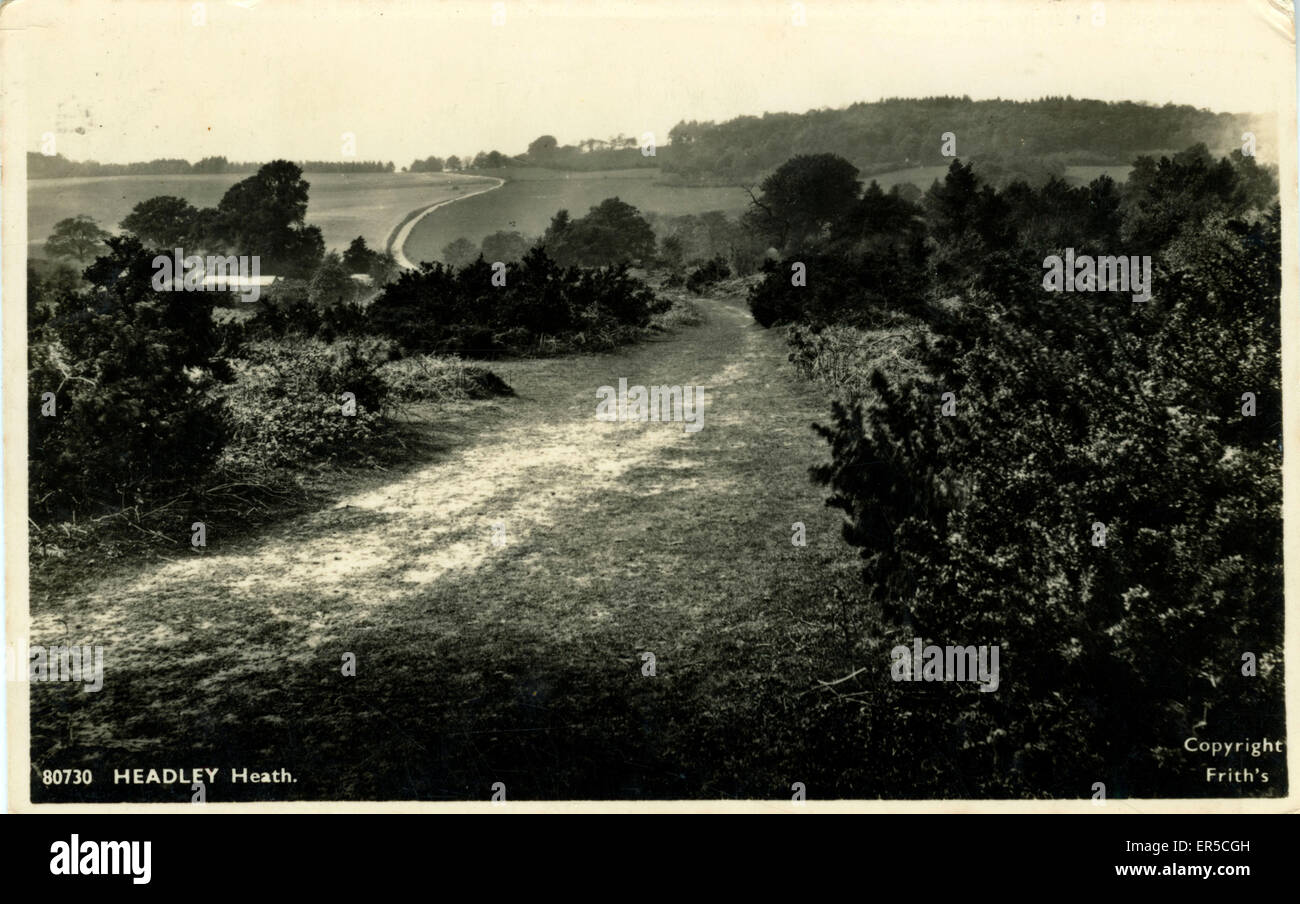 Headley hires stock photography and images Alamy