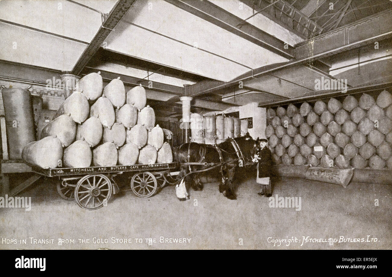 Mitchell's & Butler's Brewery, Cape Hill, Warwickshire Stock Photo - Alamy