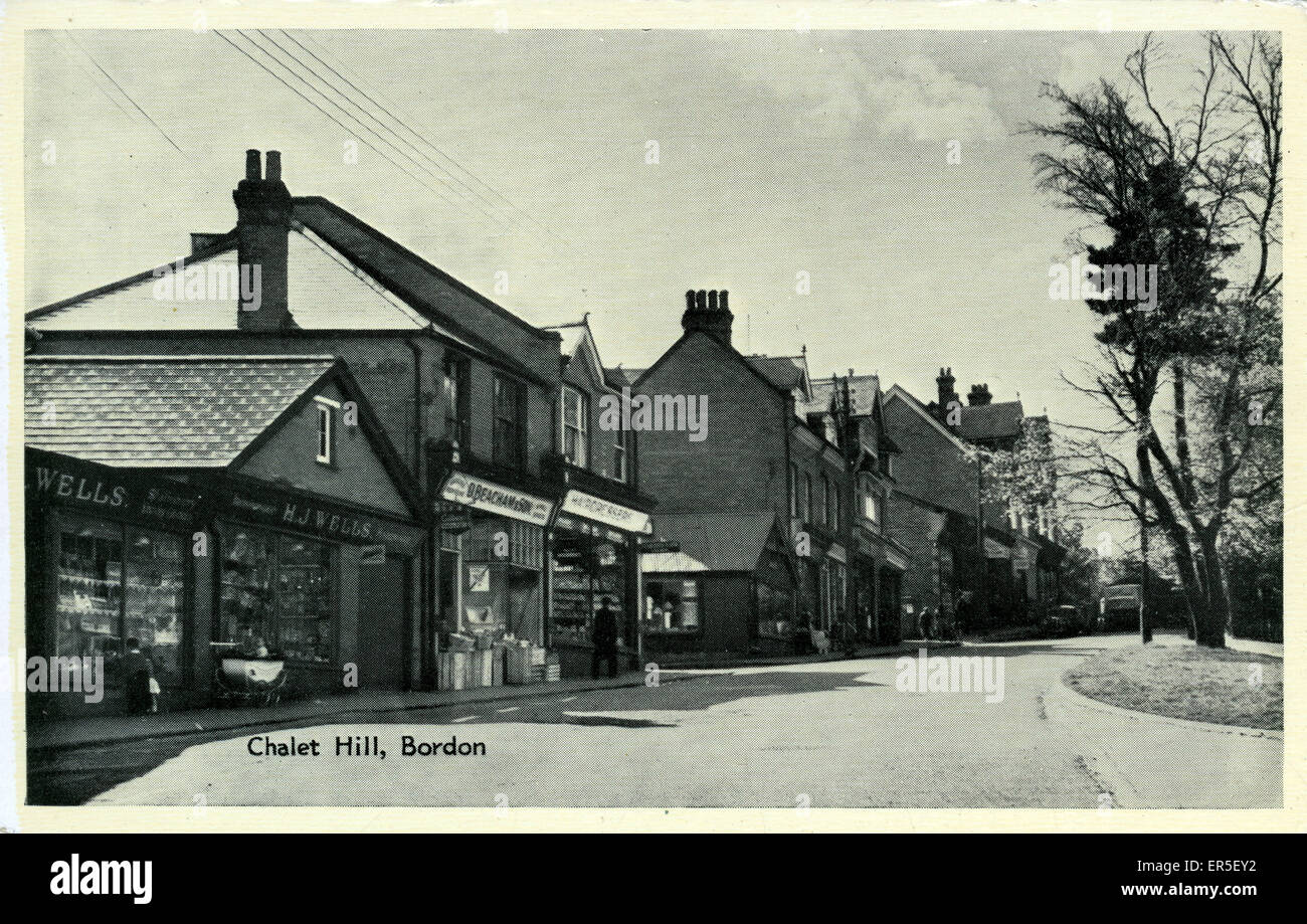 Chalet Hill, Bordon, Hampshire Stock Photo
