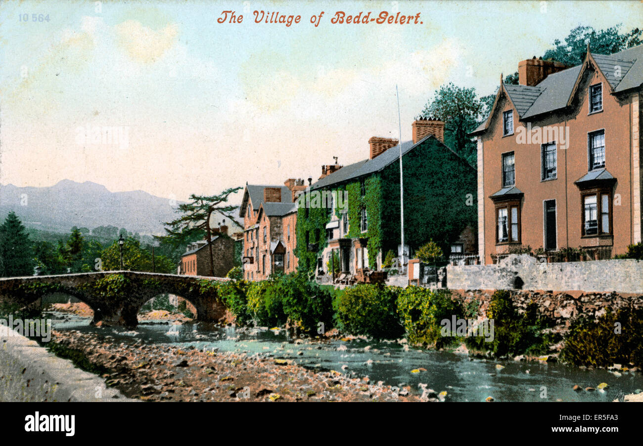 The Village, Beddgelert, Caernarfon, near Nantmor, Caernarvonshire