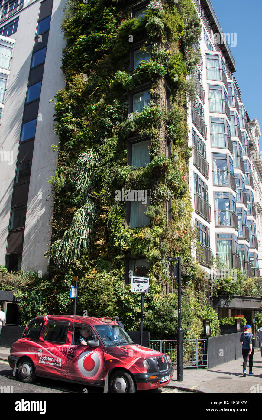 The Living Wall vertical garden, The Athenaeum Hotel, Piccadilly, Mayfair, City of Westminster, London, England, United Kingdom Stock Photo