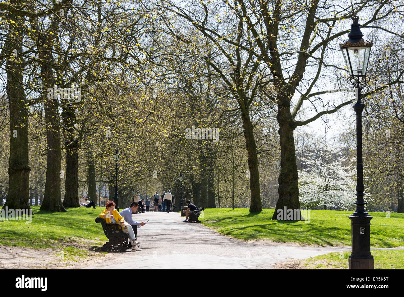 Path through The Green Park, City of Westminster, London, England, United Kingdom Stock Photo