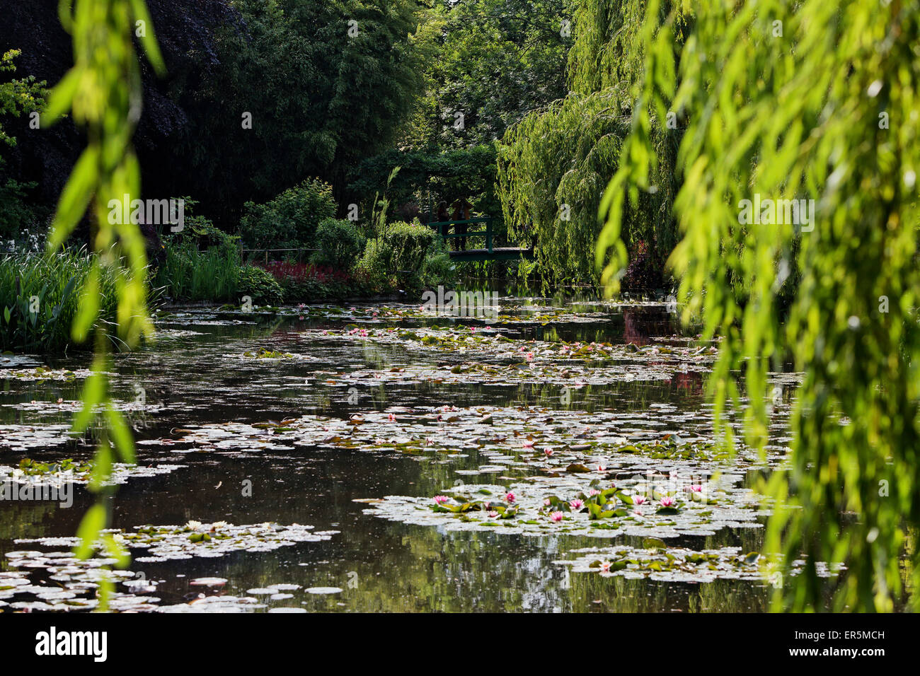 Pond with water lilies in Claude Monet's garden in Giverny, Eure. Normandy, France Stock Photo