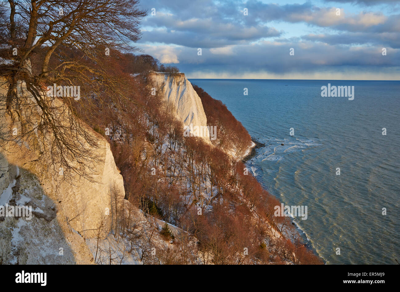 Koenigstuhl, Grosse Stubbenkammer, chalk cliffs, Jasmund National Park, Island of Ruegen, Baltic Sea Coast, Mecklenburg Western Stock Photo