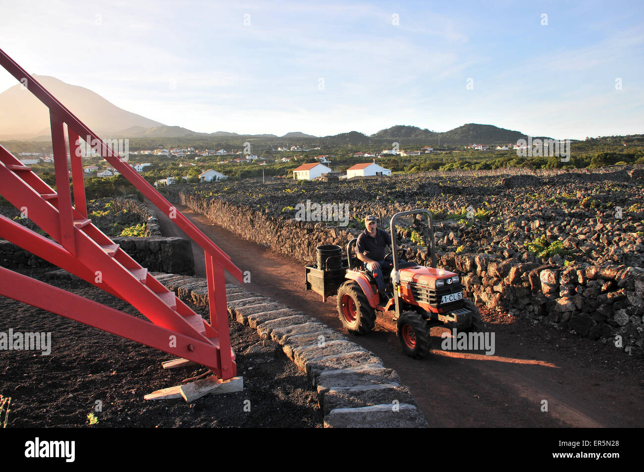 Viniculture along the southwest coast with Pico vulcano in the background, Ponta do Pico, Island of Pico, Azores, Portugal Stock Photo
