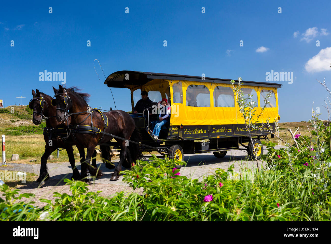 Horse and cart, Langeoog Island, North Sea, East Frisian Islands, East Frisia, Lower Saxony, Germany, Europe Stock Photo