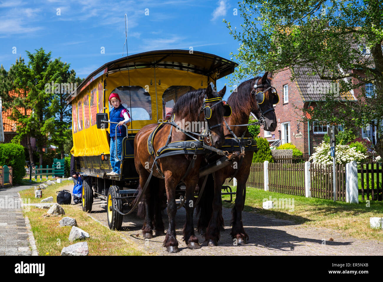 Horse and cart, Langeoog Island, North Sea, East Frisian Islands, East Frisia, Lower Saxony, Germany, Europe Stock Photo
