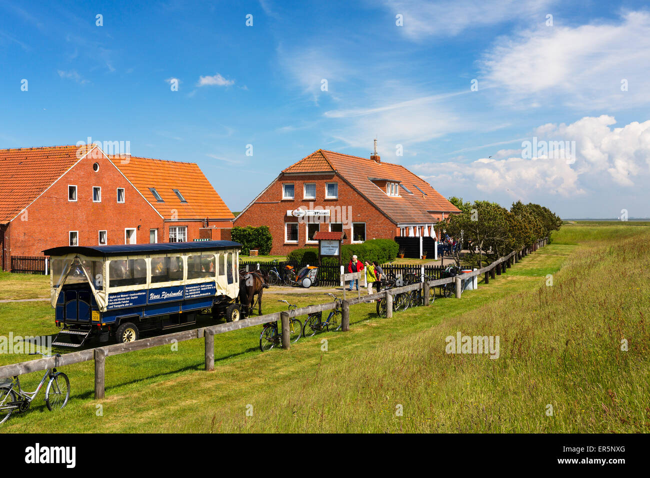 Restaurant Meierei with horse and cart, Langeoog Island, North Sea, East Frisian Islands, East Frisia, Lower Saxony, Germany, Eu Stock Photo