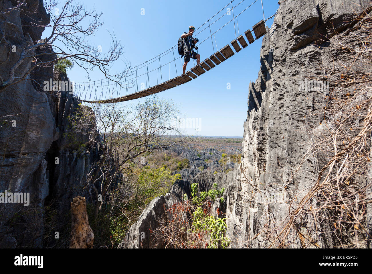 Suspension bridge in Tsingy-de-Bemaraha National Park, Mahajanga, Madagascar, Africa Stock Photo