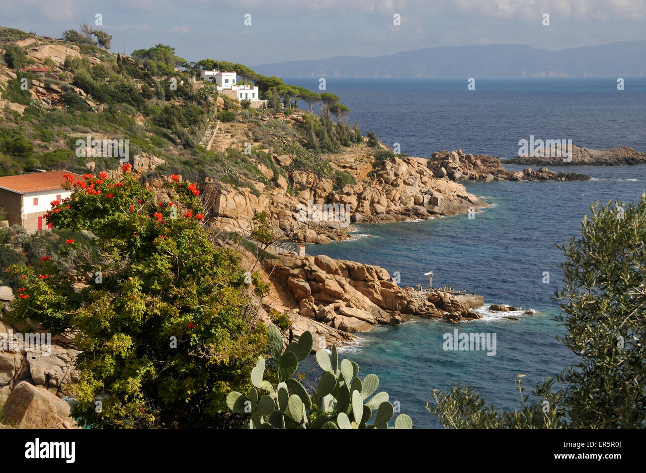 Coastal landscape near Giglio harbour, Giglio Porto, Island of Giglio in Mar Tirreno, South Tuscany, Tuscany, Italy Stock Photo