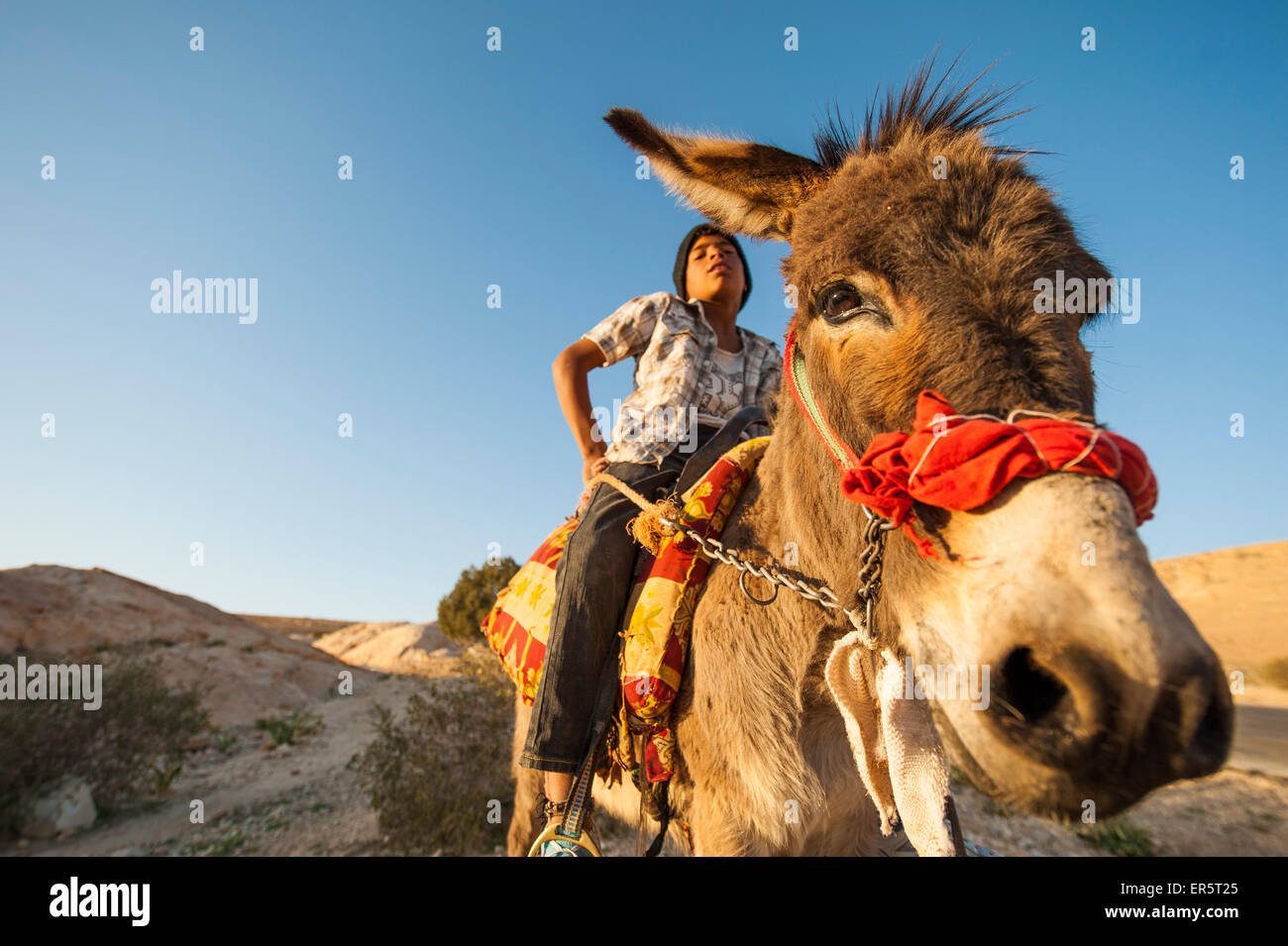 Middle east boys hi-res stock photography and images - Alamy