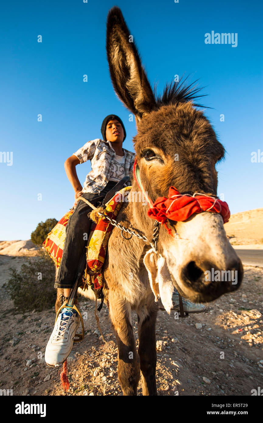 Boy riding a donkey, Wadi Musa, Jordan, Middle East Stock Photo