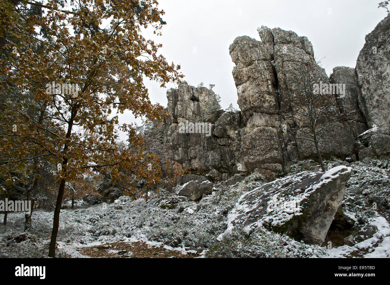 Quartz rocks of Grosser Pfahl with early snow near Viechtach, Bavarian Forest, Bavaria, Germany Stock Photo