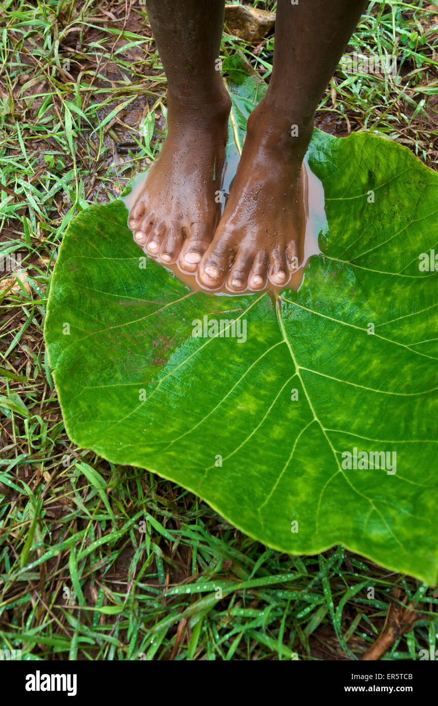 Girl standing barefoot on wet ground on a huge leaf, Niki Niki, Atoin Meto village, indigenous people, West Timor, Eastern Nusa Stock Photo