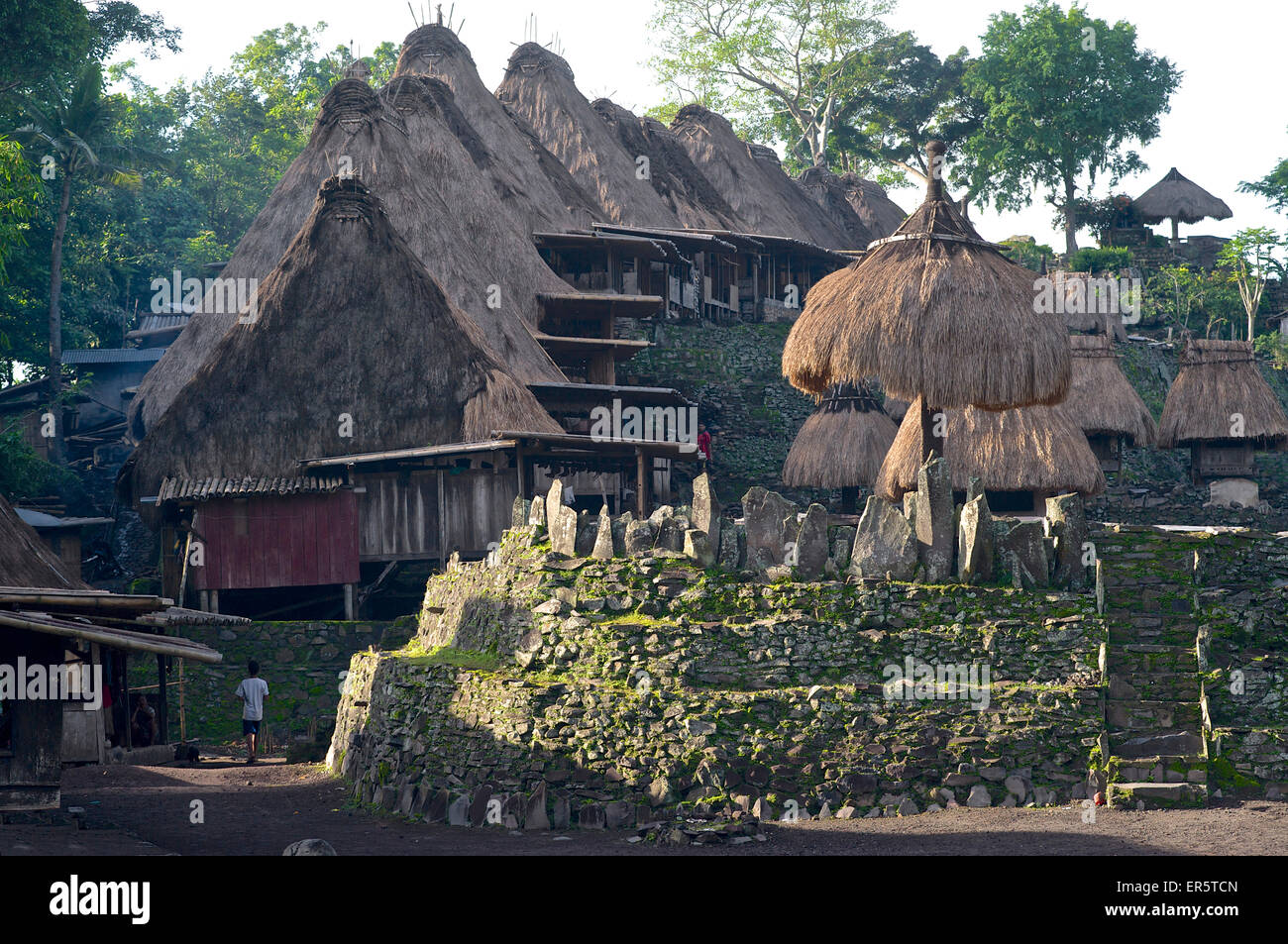 Megaliths and nagadhu und bhaga shrines in Bena, traditional Ngada village, Flores, Nusa Tenggara Timur, Lesser Sunda Islands, I Stock Photo