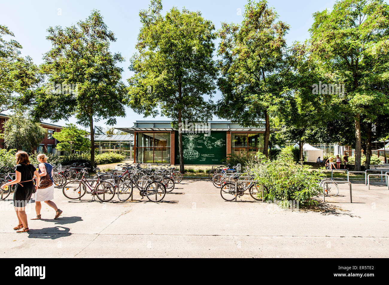 Bicycle stand, Leuphana University, Lueneburg, Lower Saxony, Germany Stock Photo