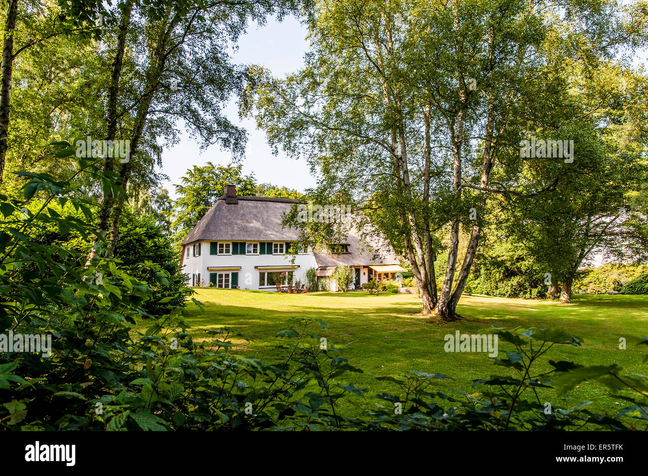 Thatched-roof house between deciduous trees, Hamburg, Germany Stock Photo