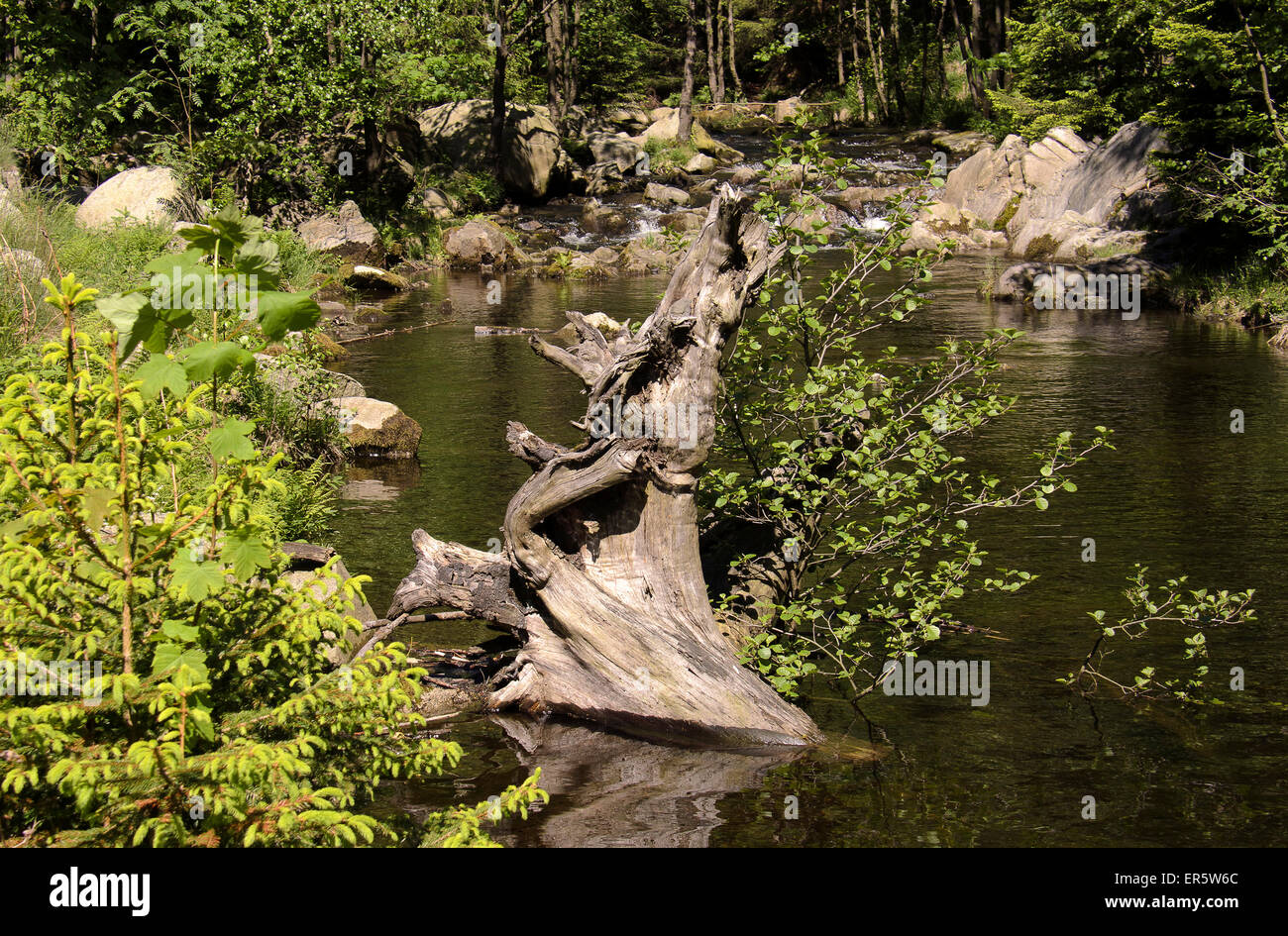 River oker oker valley harz hi-res stock photography and images - Alamy