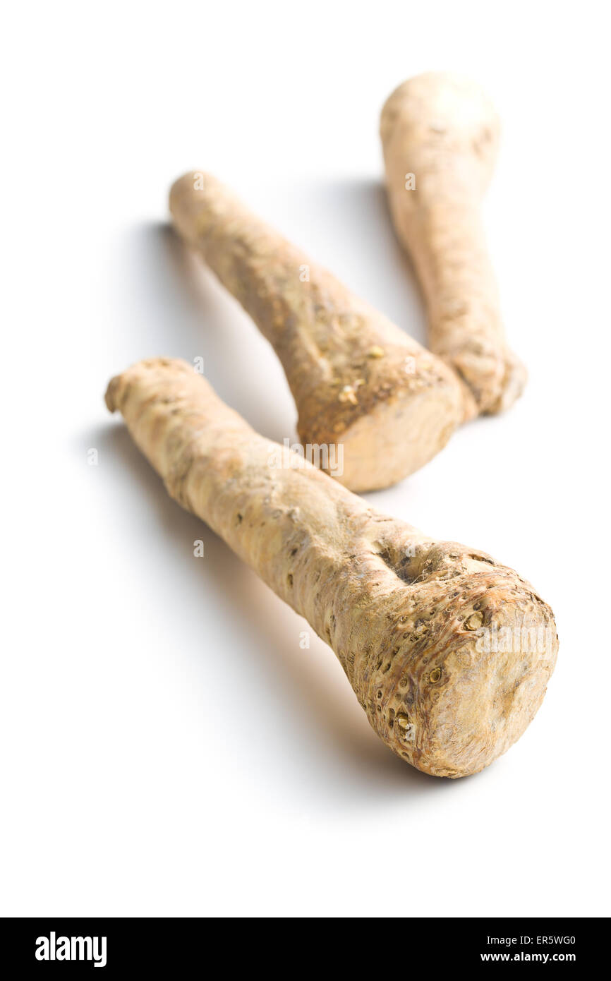 fresh horseradish root on white background Stock Photo Alamy
