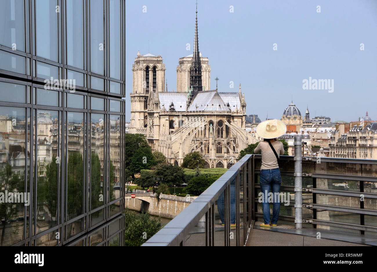Notre Dame, View from Institut du monde arabe, Paris, France, Europe Stock Photo