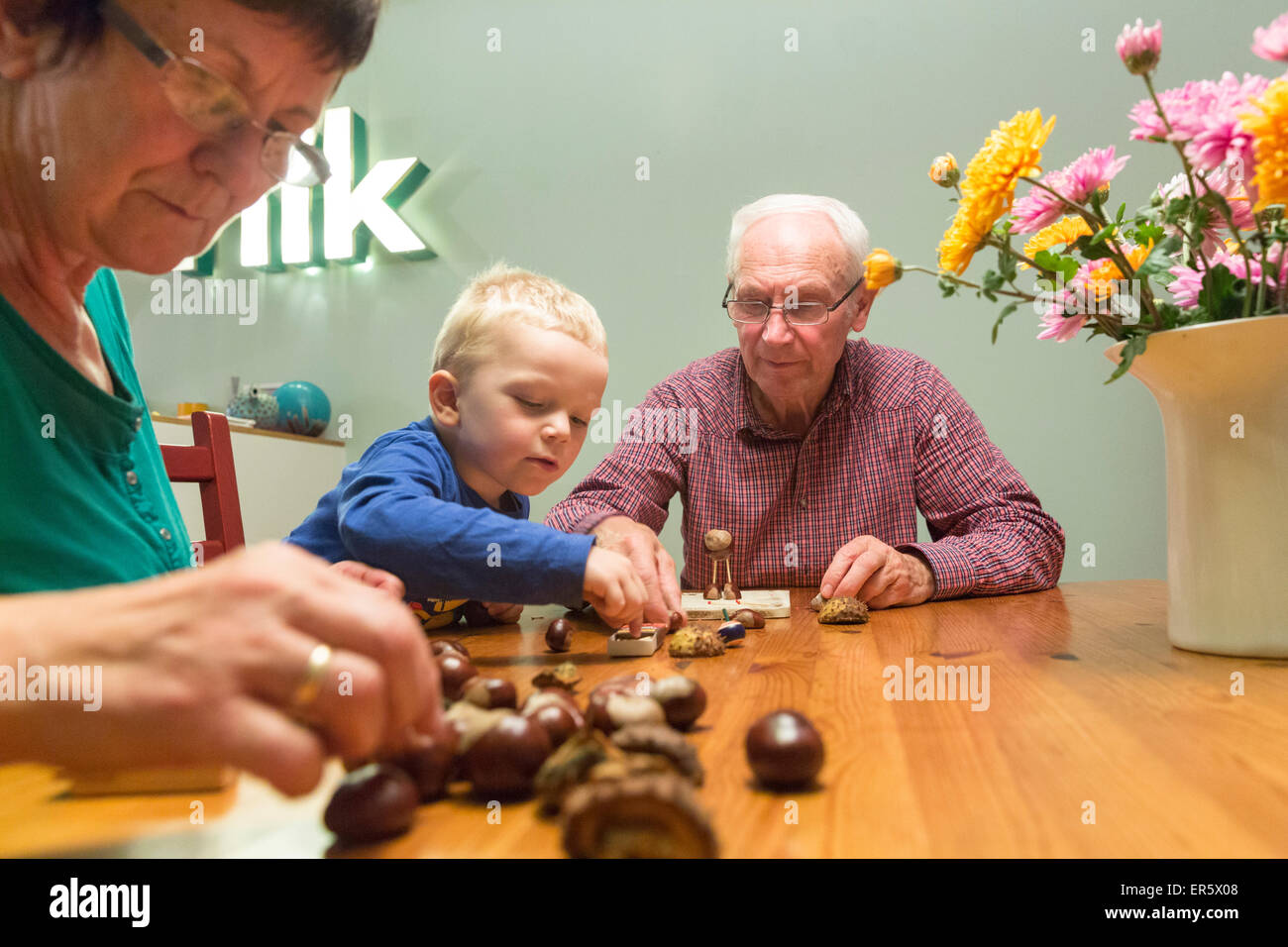 Grandparents and boy 3 years making chestnut figures, Leipzig, Saxony, Germany Stock Photo