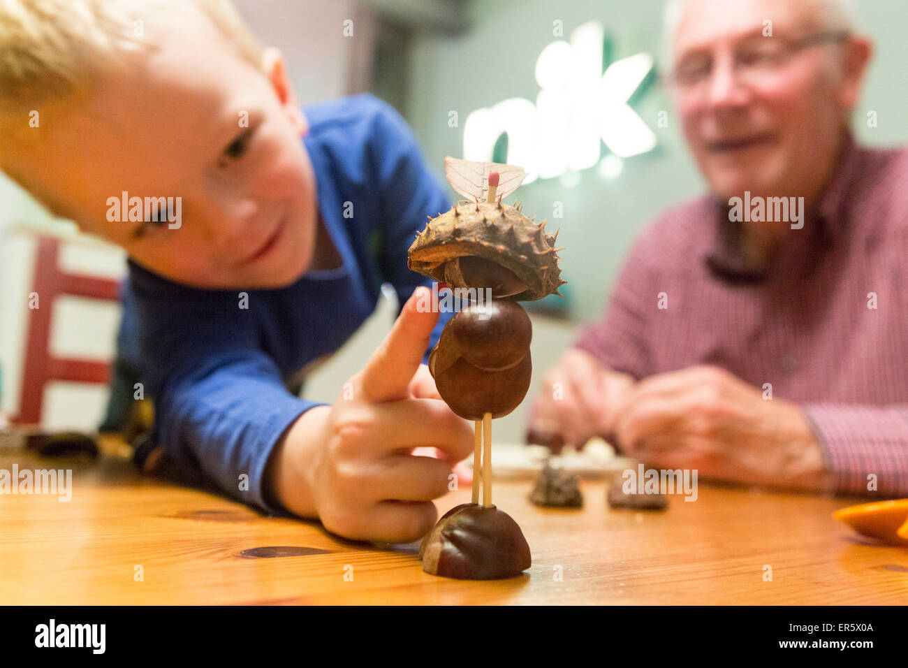 Boy 3 years and grandfather making chestnut figures, Leipzig, Saxony, Germany Stock Photo