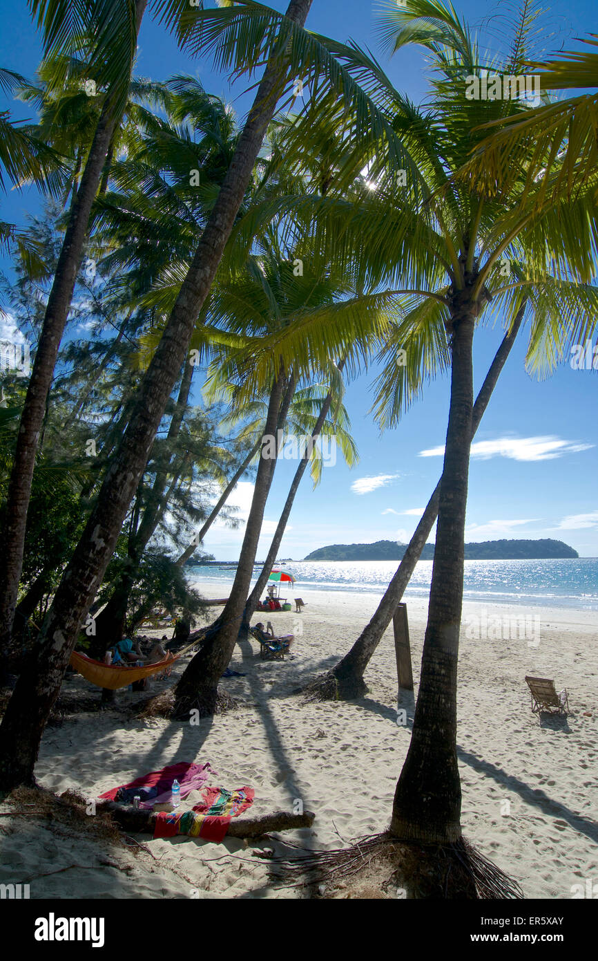 Palm trees on the beach, Ngapali, most famous beach resort in Burma at ...