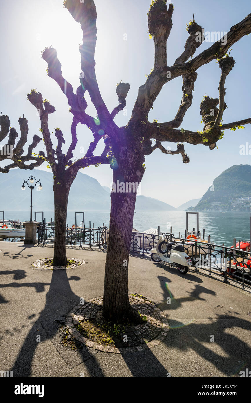 Lake shore in Lugano, Lake Lugano, canton of Ticino, Switzerland Stock Photo