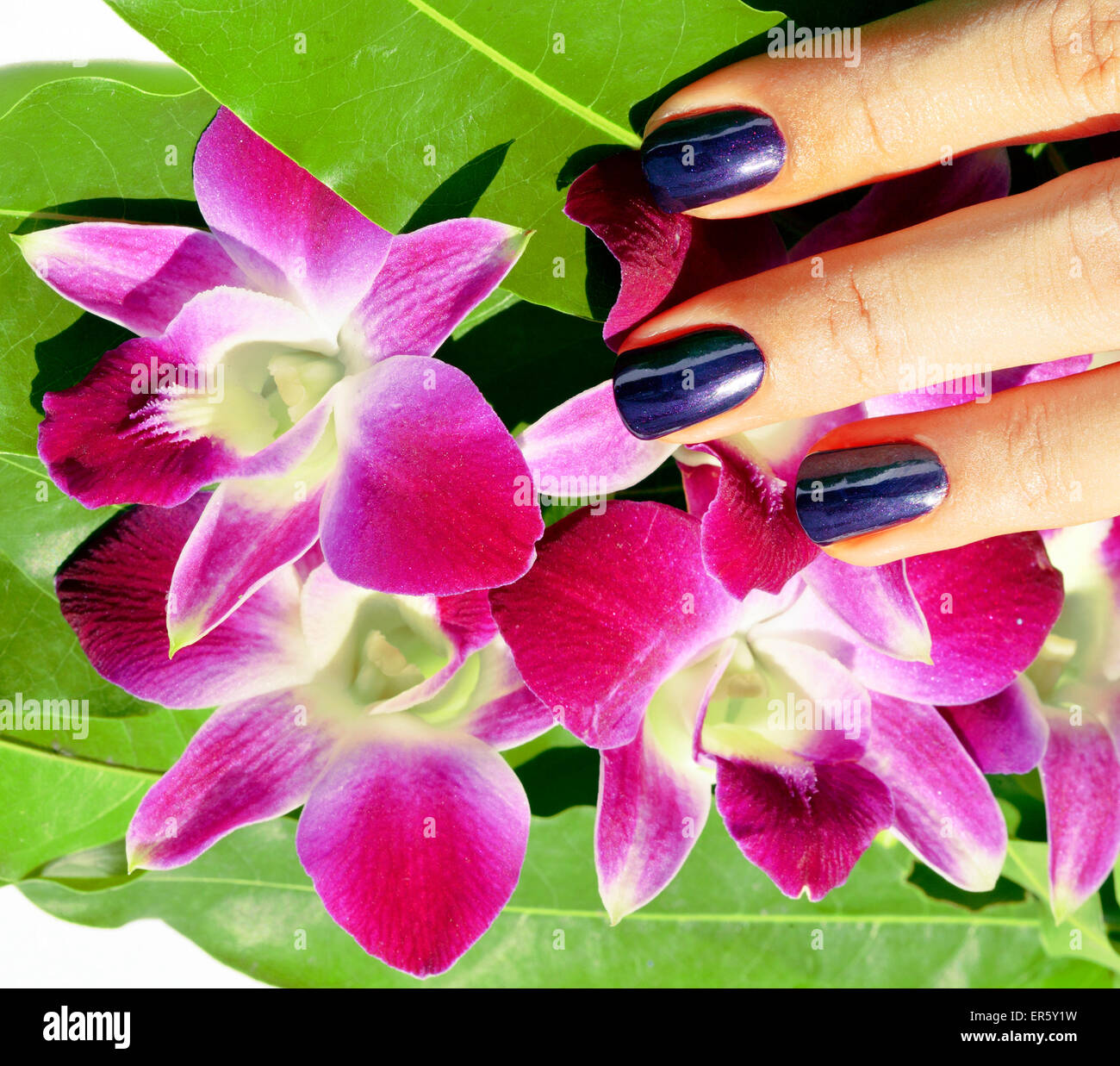 bright colored photo of fingernails with manicure and orchids ma Stock Photo